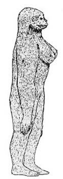 A drawing of the Sasquatch