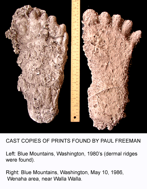 sasquatch bigfoot footprints