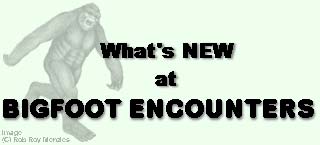 What's New at Bigfoot Encounters