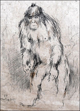 [Image: yeti-sketch.jpg]